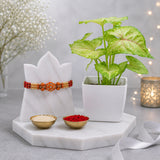 Designer Beads Rakhi With Syngonium Plant
