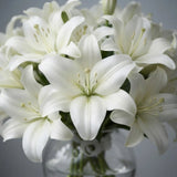 15 White Lilies Bouquet in Glass Vase