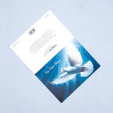 Pack of 50 Joy Hope Peace Dove Greeting Card