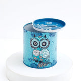 Boho Teal Owl Tin Money Box