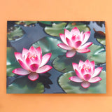 Pack of 50 Pink Lotus Pond Greeting Card