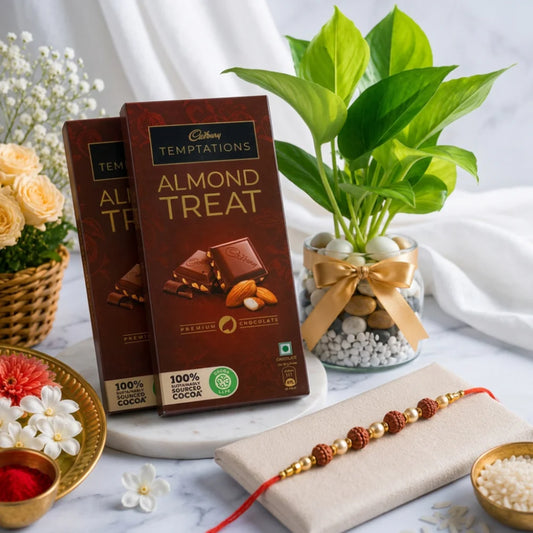 Rudraksha Rakhi with Plant and Cadbury Temptations Almond Chocolate | Divine Rakhi Sweet Combo