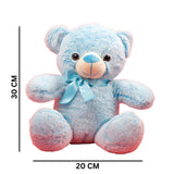 Blue Huggable Teddy Bear Soft Toy