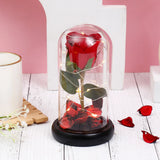 Eternal Red Rose in Glass Dome with LED Light