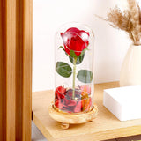 Forever Rose in Glass Dome with Footed Wooden Base