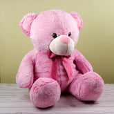 Cuddly Pink Teddy Bear