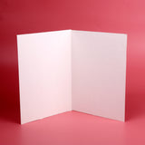 Christmas and New Year Seasons Greeting Card Pack of 10