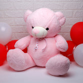 Pink Teddy Bear Soft Toy Large