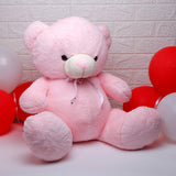 Pink Teddy Bear Soft Toy Large