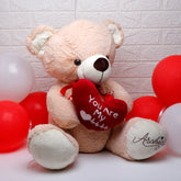 You are My Heartbeat Teddy Bear Soft Toy