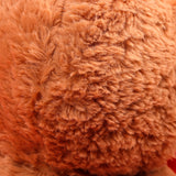 I Love You Quoted Teddy Bear