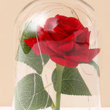 Archies Single Red Rose Glass Dome with Black Base