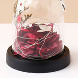 Archies Burgundy Petal Dome with Butterfly & Lights