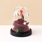 Archies Maroon Rose Dome with Fairy Lights & Ribbon