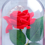 Rose Petals Jar of Love Showpiece