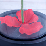 Rose Petals Jar of Love Showpiece
