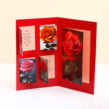 Geisha Chocolate With For My Special Someone Greeting Card and Envelope
