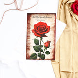 For My Special Someone Greeting Card With Envelope