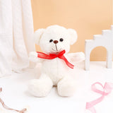 White Teddy Bear with Chocolate and Greeting Card