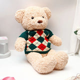 Cuddly Teddy Bear Soft in Knitted Sweater