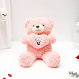 Single Rose With Romantic Heart Plush Teddy Bear - Pink