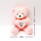 Romantic Heart Plush Teddy Bear - Pink