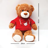 Classic Brown Teddy in Red Hoodie