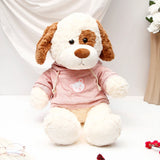Single Rose With White Dog in Pink Hoodie Soft Toy