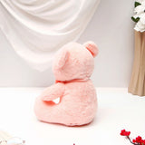 Ultra-Soft Plush Cuddly Teddy Bear - Pink