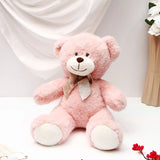 Adorable Cuddle Teddy Bear - Pink