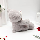 Adorable Cuddle Teddy Bear - Grey