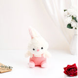 White Bunny Soft Toy in Pink Dress