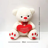 White Sweetheart Teddy Bear