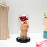 Pink Rose Teddy Bear LED Jar
