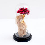 Teddy Bear Rose Glass Dome