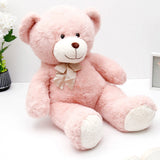 Blush Bow Teddy & Dream Girl Perfume Rakhi Combo