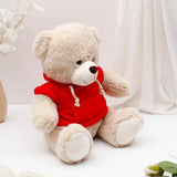 Beige Teddy Bear Soft Toy with Red Hoodie