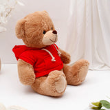 Brown Teddy Bear Soft Toy with Red Hoodie