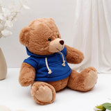 Brown Teddy Bear Soft Toy with Blue Hoodie