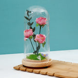 Archies Pink Rose Bouquet LED Glass Dome Showpiece