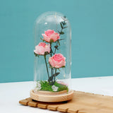Archies Blush Pink Rose Bouquet LED Glass Dome Showpiece