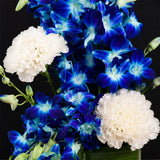 White Carnation & Blue Orchid Square Vase Arrangement