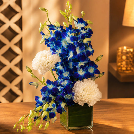 White Carnation & Blue Orchid Square Vase Arrangement - Anniversary & Birthday Gift