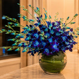 10 Blue Orchids Fish Bowl Arrangement