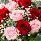 8 Light Pink & 8 Red Roses Garden Bouquet with Eucalyptus - Anniversary Gift