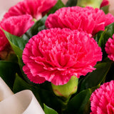 10 Pink Carnations Garden Bouquet
