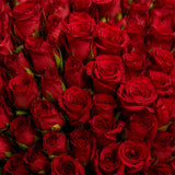 250 Red Roses Heart-Shaped Arrangement