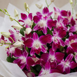 10 Purple Orchid Luxury Bouquet - Premium Anniversary & Valentine's Day Gift