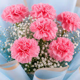 6 Pink Carnation Blush Bouquet - Elegant Mother's Day & Anniversary Flower Gift