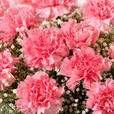 Pink Carnation Bouquet & Truffle Cake Combo - Birthday & Anniversary Gift Set